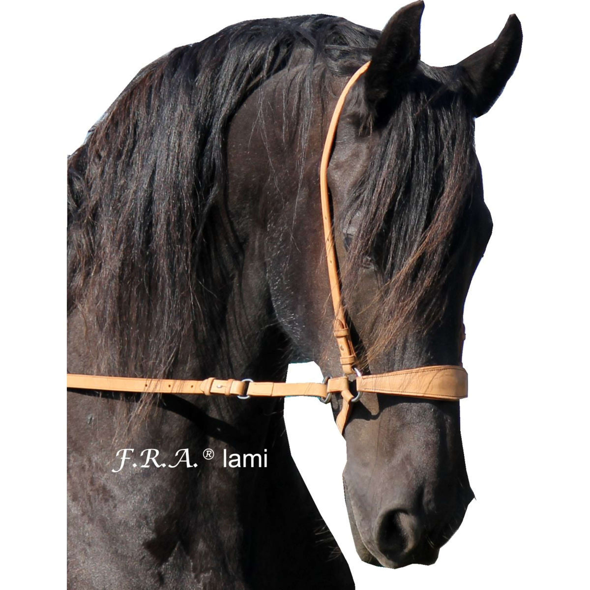 F.R.A. Bit-less Bridle Lami Naturel