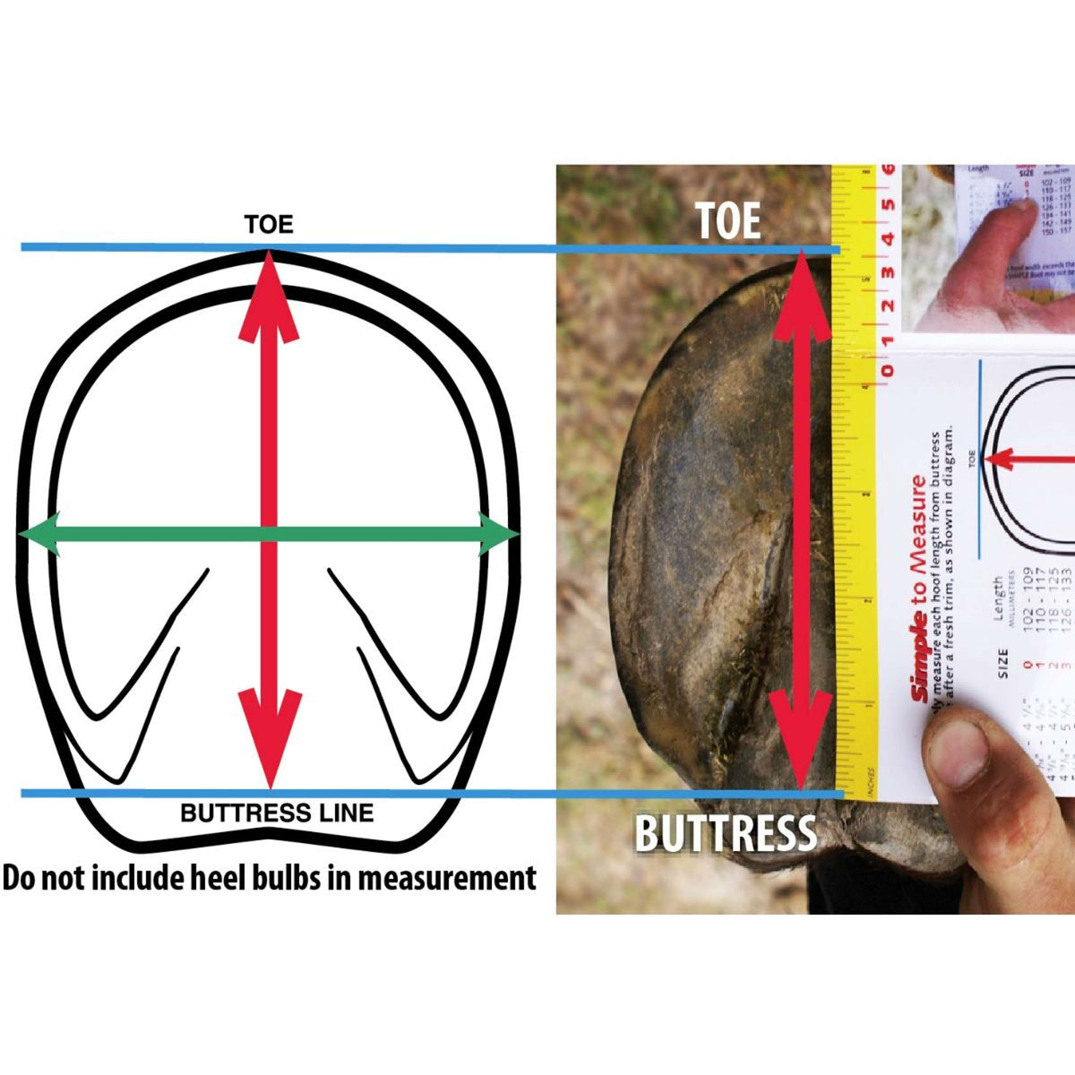 F.R.A. Cavallo Horse & Rider Insoles BFB Cushion