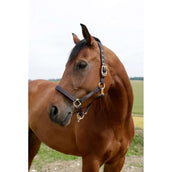 GoLeyGo Head Collar 2.0 Brown/Light