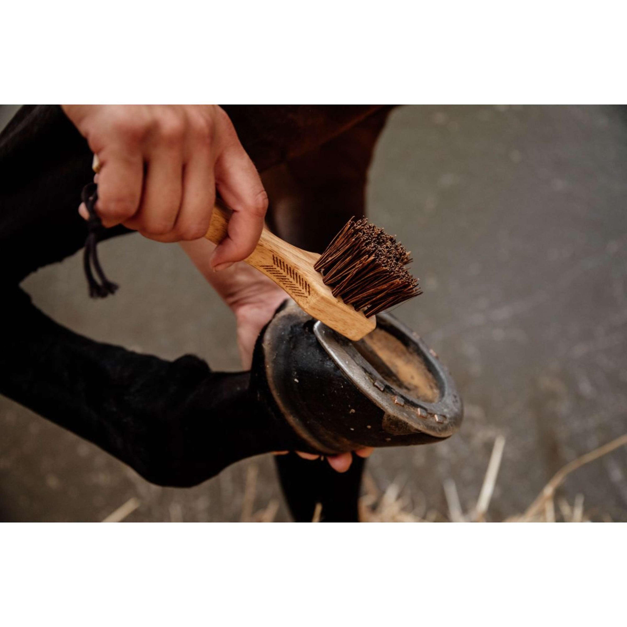 Grooming Deluxe by Kentucky Hoof Pick Grooming Deluxe by Kentucky Hoof Pick