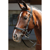 Harry's Horse Bridle/halter Black