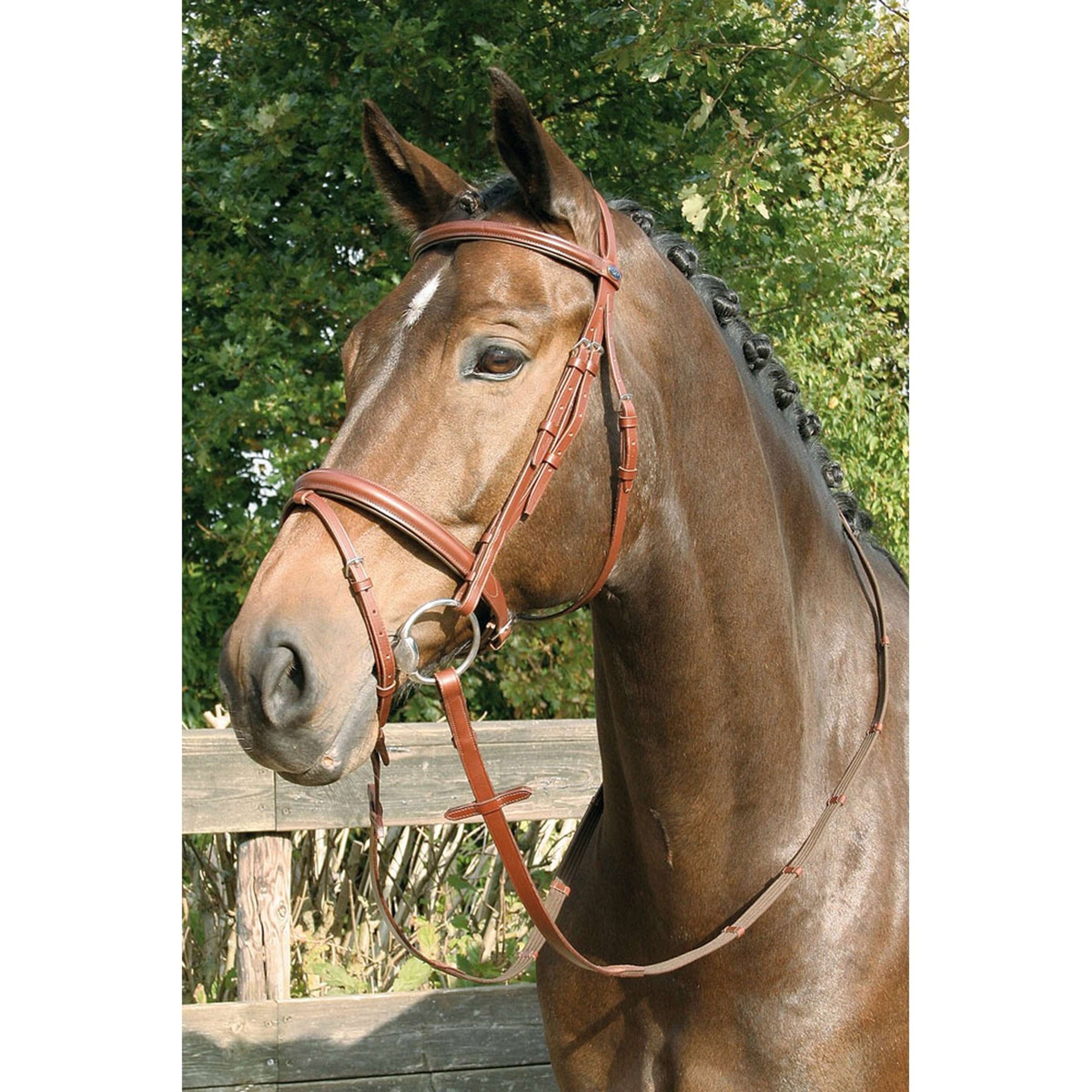 Harry's Horse Bridle Luxury Combined Noseband Brown