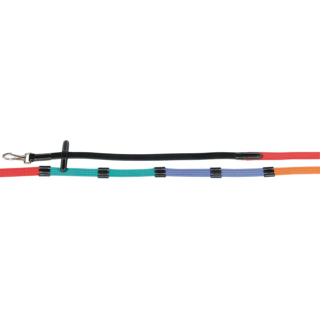 Harry's Horse Training Reins Web
