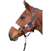 Harry's Horse Synthetic Nose Band Beige