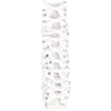 Harry's Horse Show Bows White Crystal