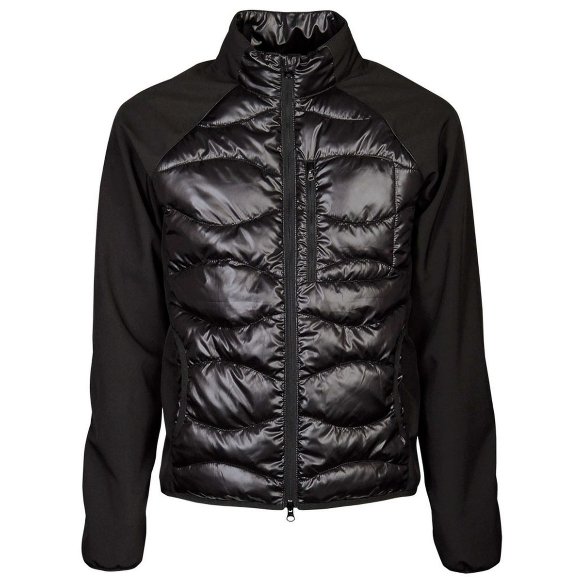 Harry's Horse Softshell Coat Liciano Padded Black