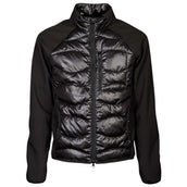 Harry's Horse Softshell Coat Liciano Padded Black