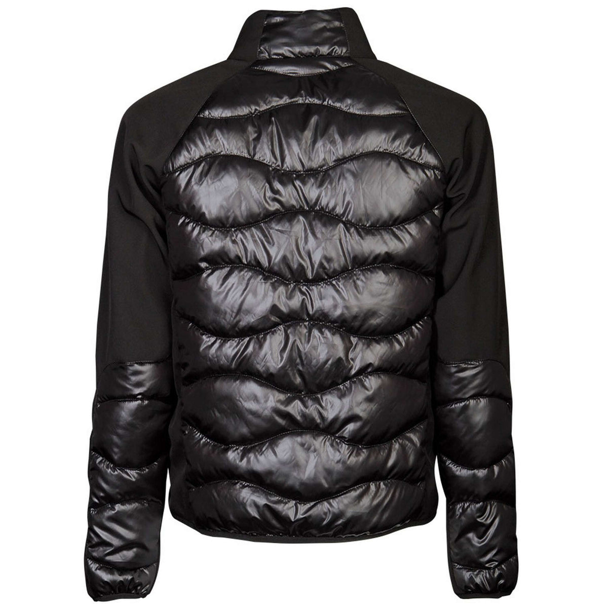 Harry's Horse Softshell Coat Liciano Padded Black