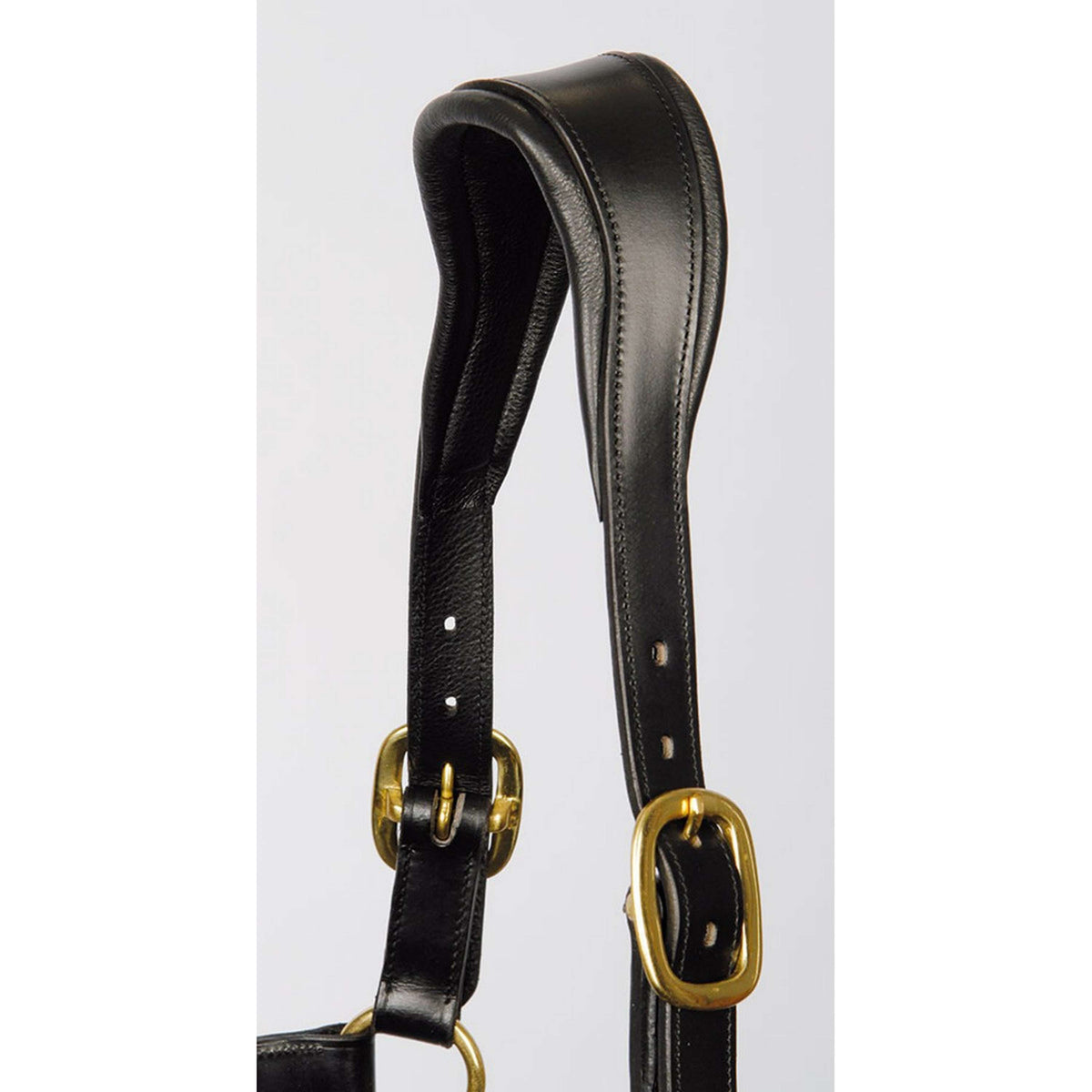 Harry's Horse Head Collar Black