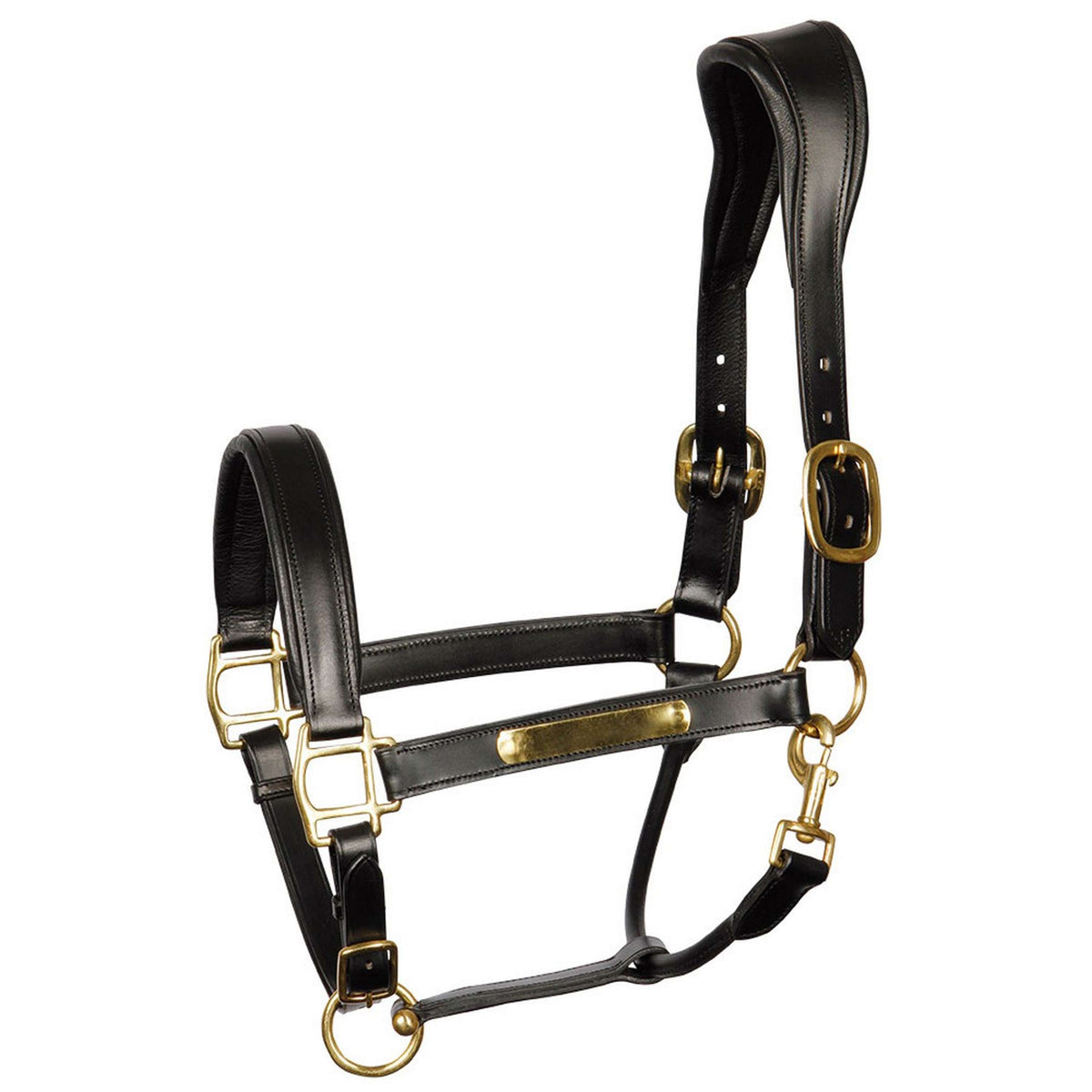 Harry's Horse Head Collar Black