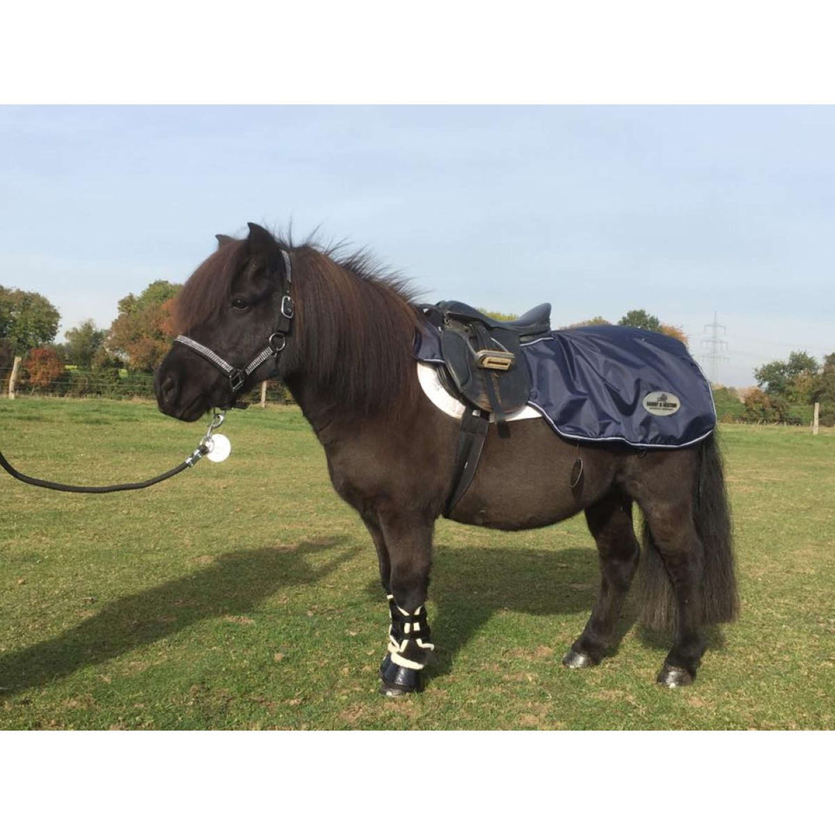 HB Harry & Hector Exercise Rug Navy