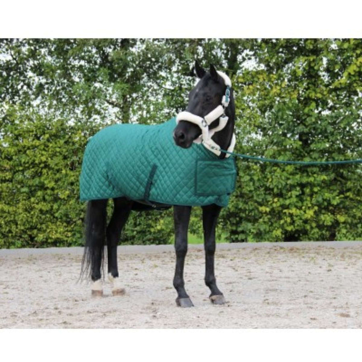 HB Showtime Show Rug Desire160gr Forest-Green