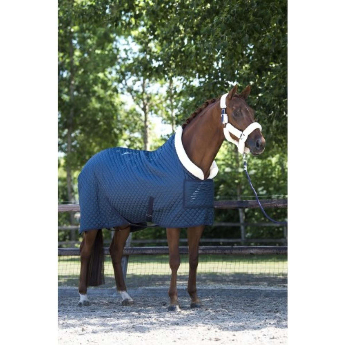 HB Showtime Show Rug Desire160gr Steel Blue