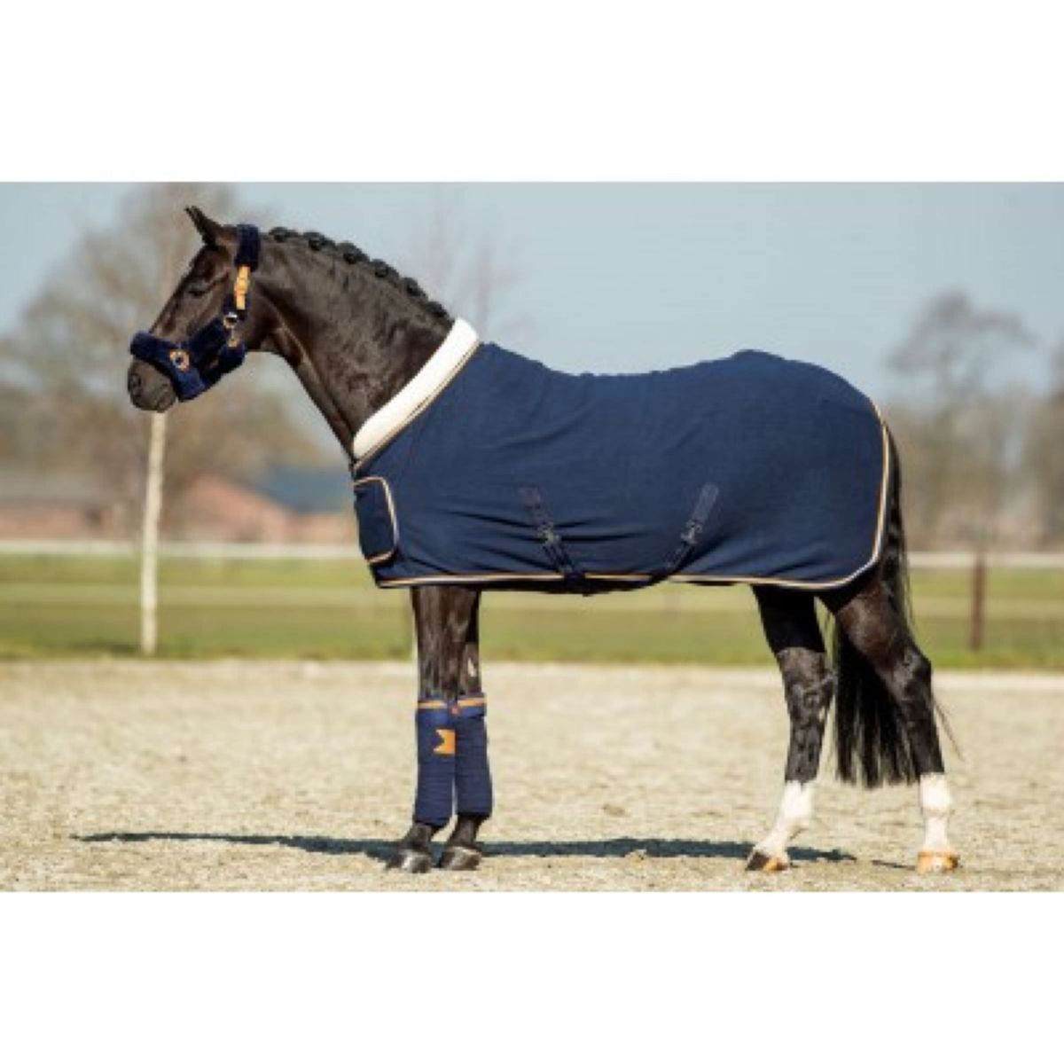 HB Showtime Show Rug Blue Moon 400gr Navy/Oranje