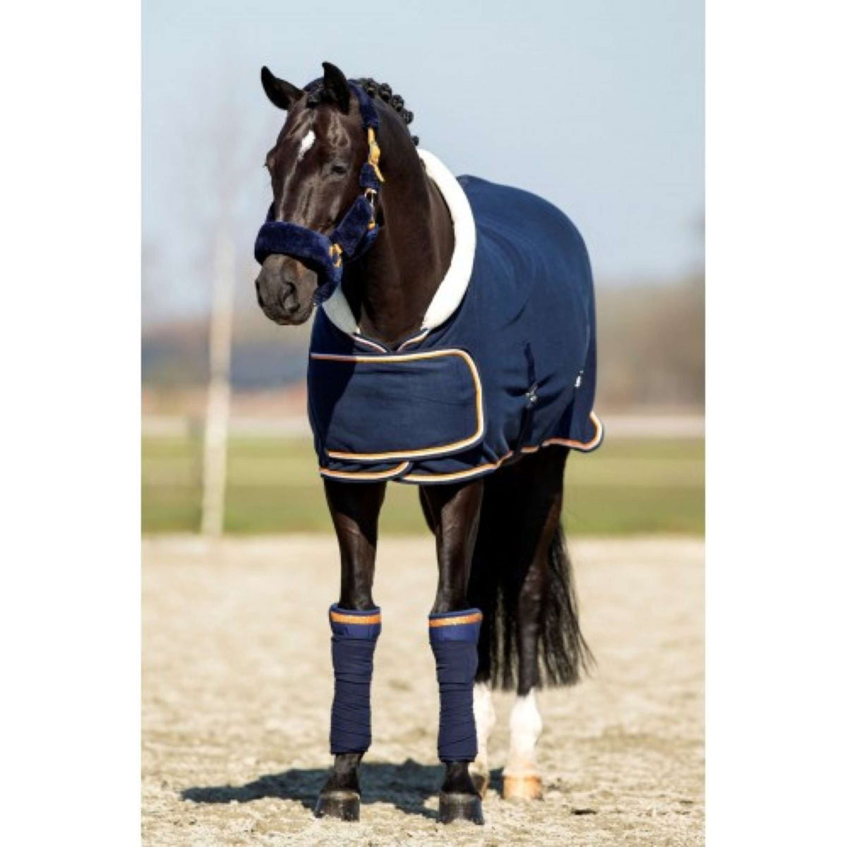 HB Showtime Show Rug Blue Moon 400gr Navy/Oranje