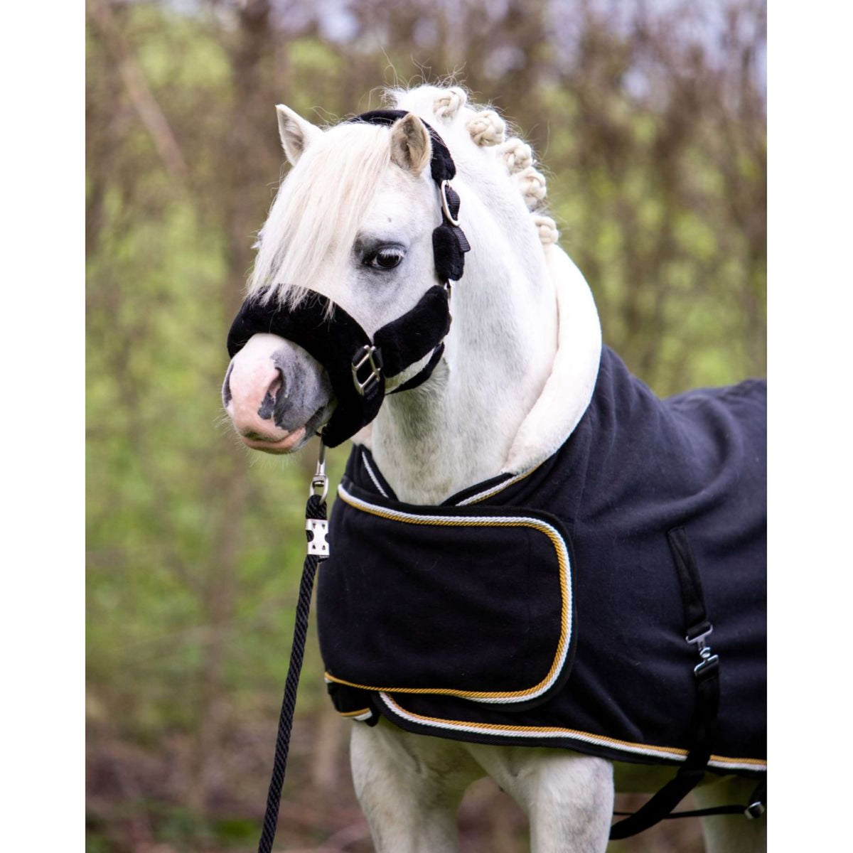 HB Harry & Hector Show Rug Dutch Crown Little Sizes Black