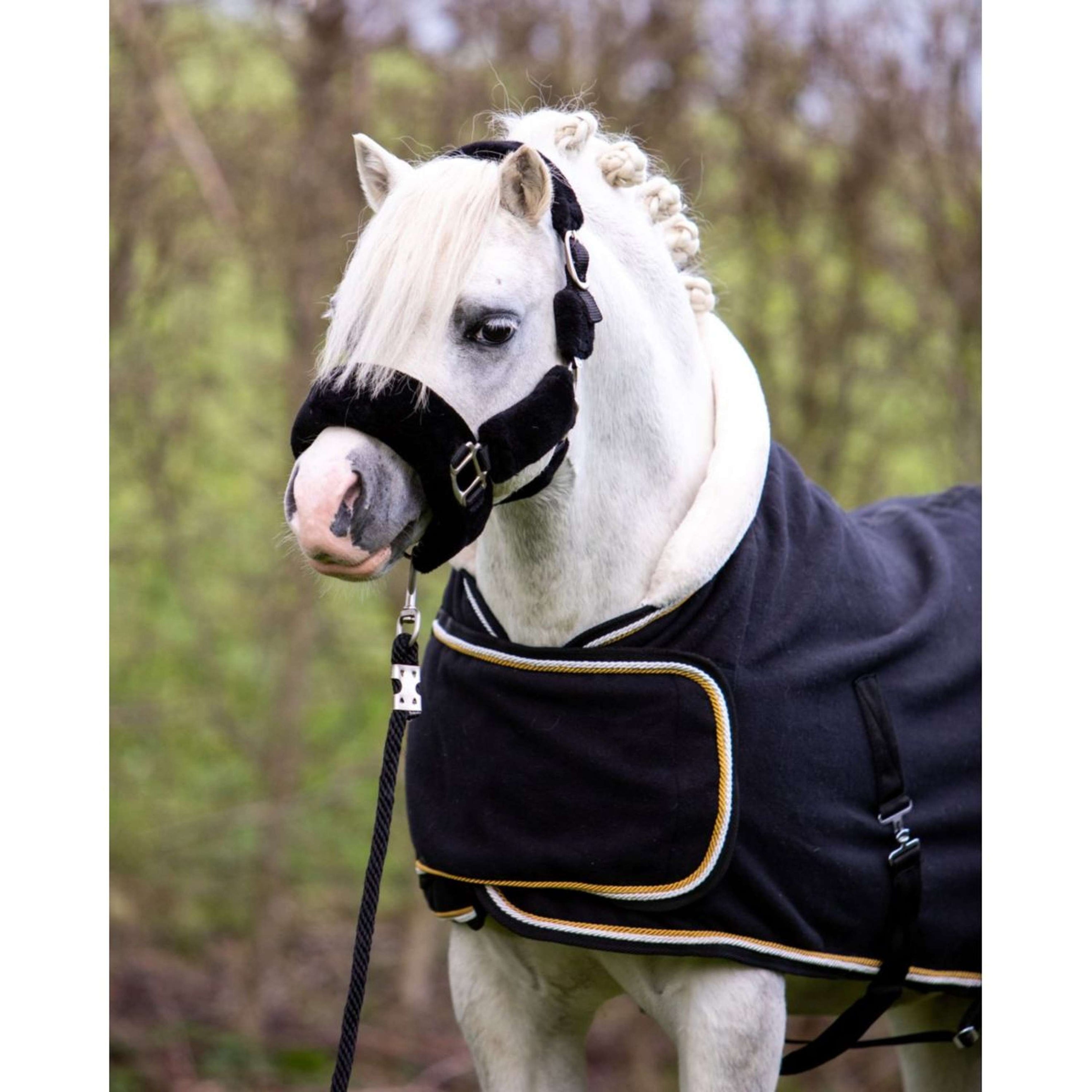 HB Harry & Hector Show Rug Dutch Crown Little Sizes Black HB Harry & Hector Show Rug Dutch Crown Little Sizes Black