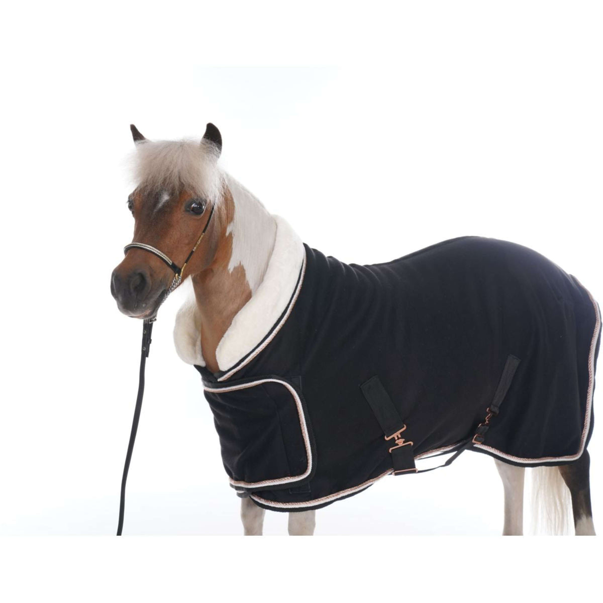 HB Show Rug Dutch Crown Europe Rose Black