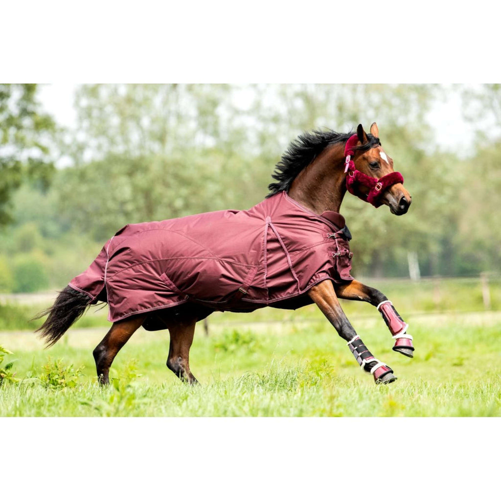 HB Showtime Outdoor Rug Channel 200g Burgundy