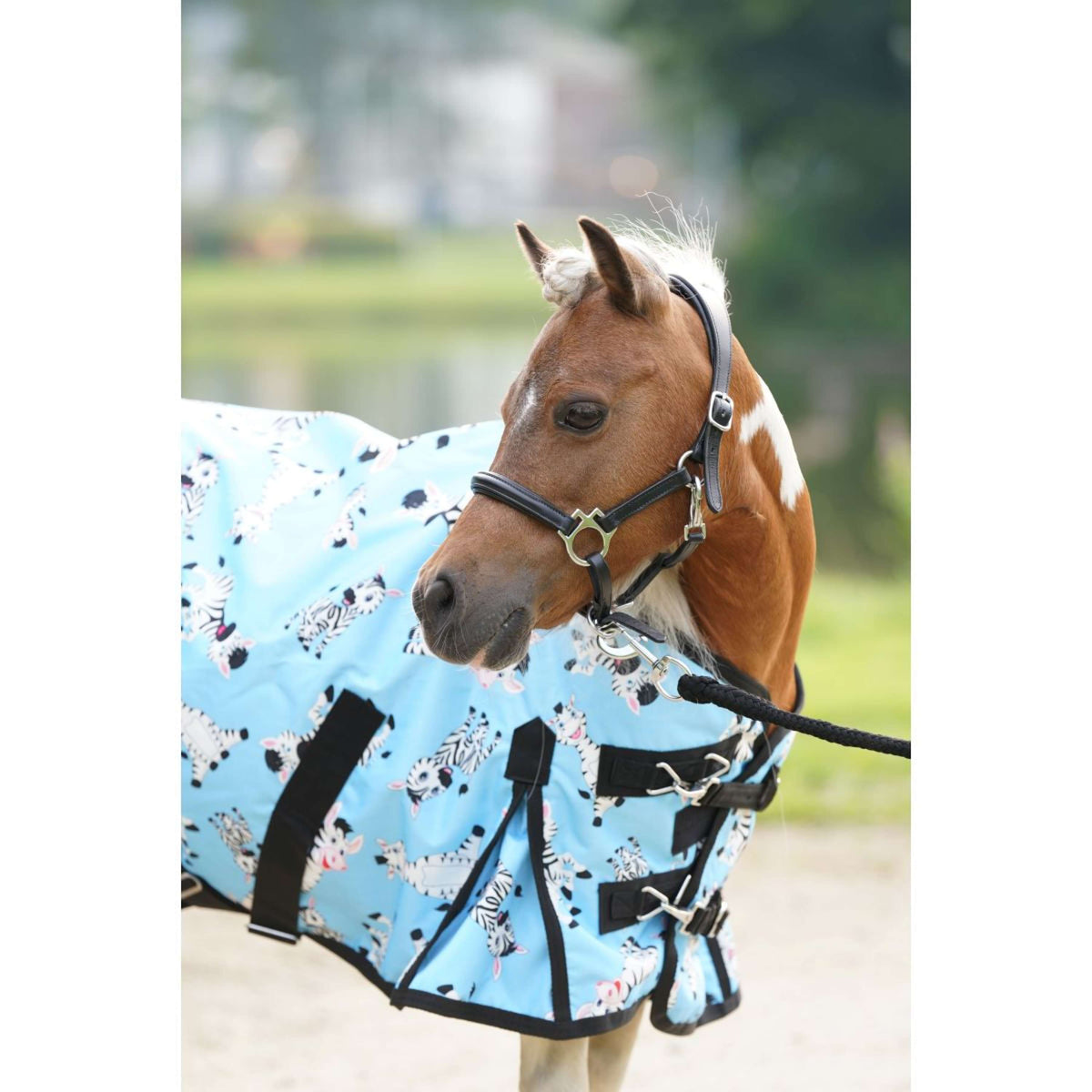 HB Ruitersport Outdoor Rug Mr Squeez 0g Lightblue