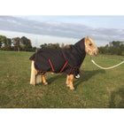 HB Harry & Hector Outdoor Rug 300g Black/Red