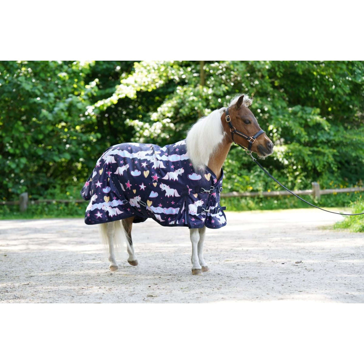 HB Harry & Hector Outdoor Rug 200g Unicorn Dream