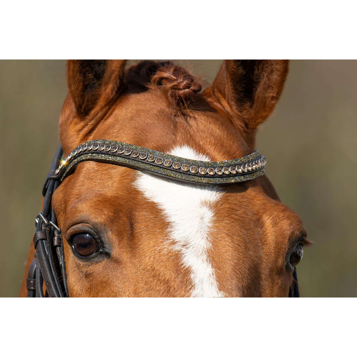 HB Bridle Showtime One in a Million Brown/Golden Glitter