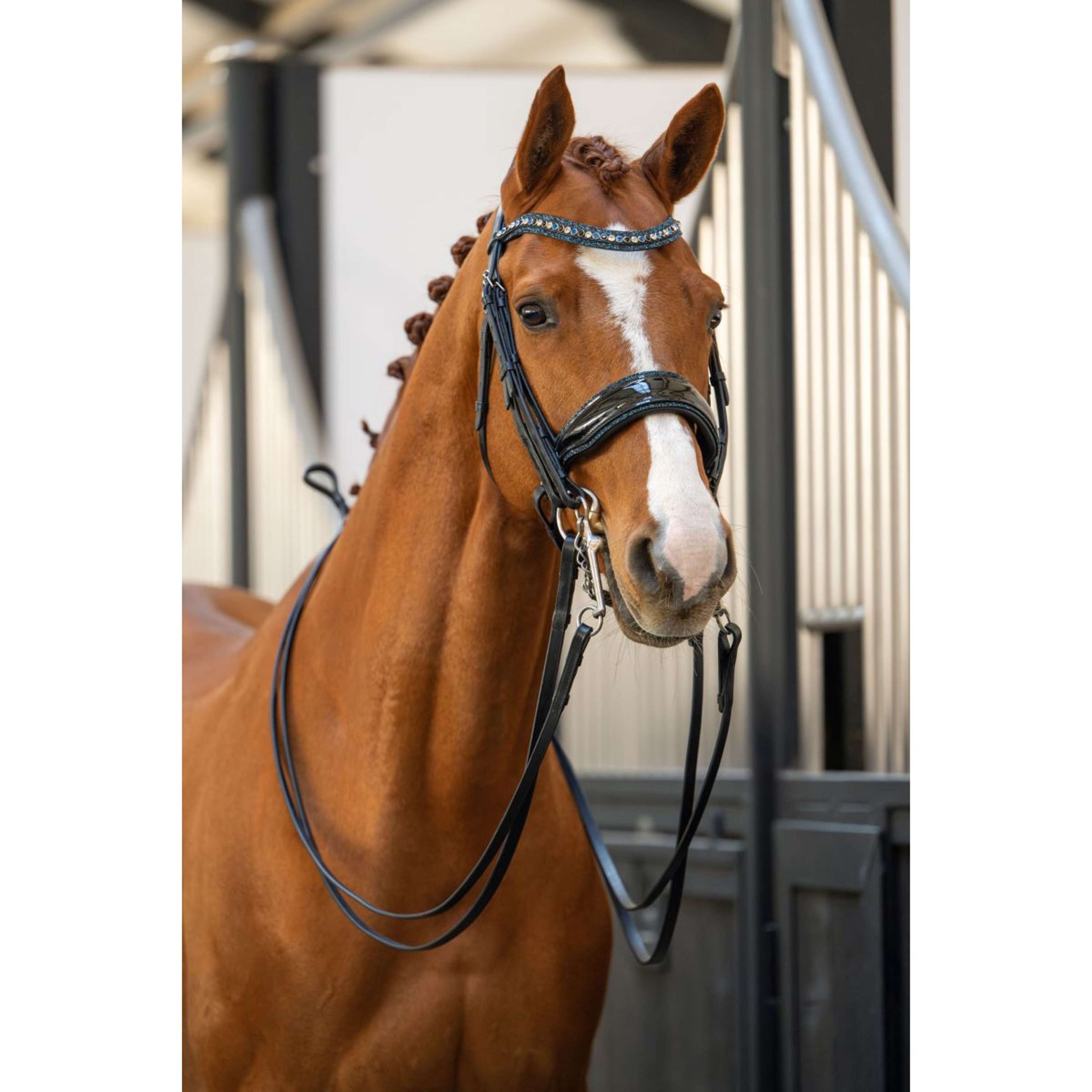HB Bridle Showtime One in a Million Black/Navy Glitter