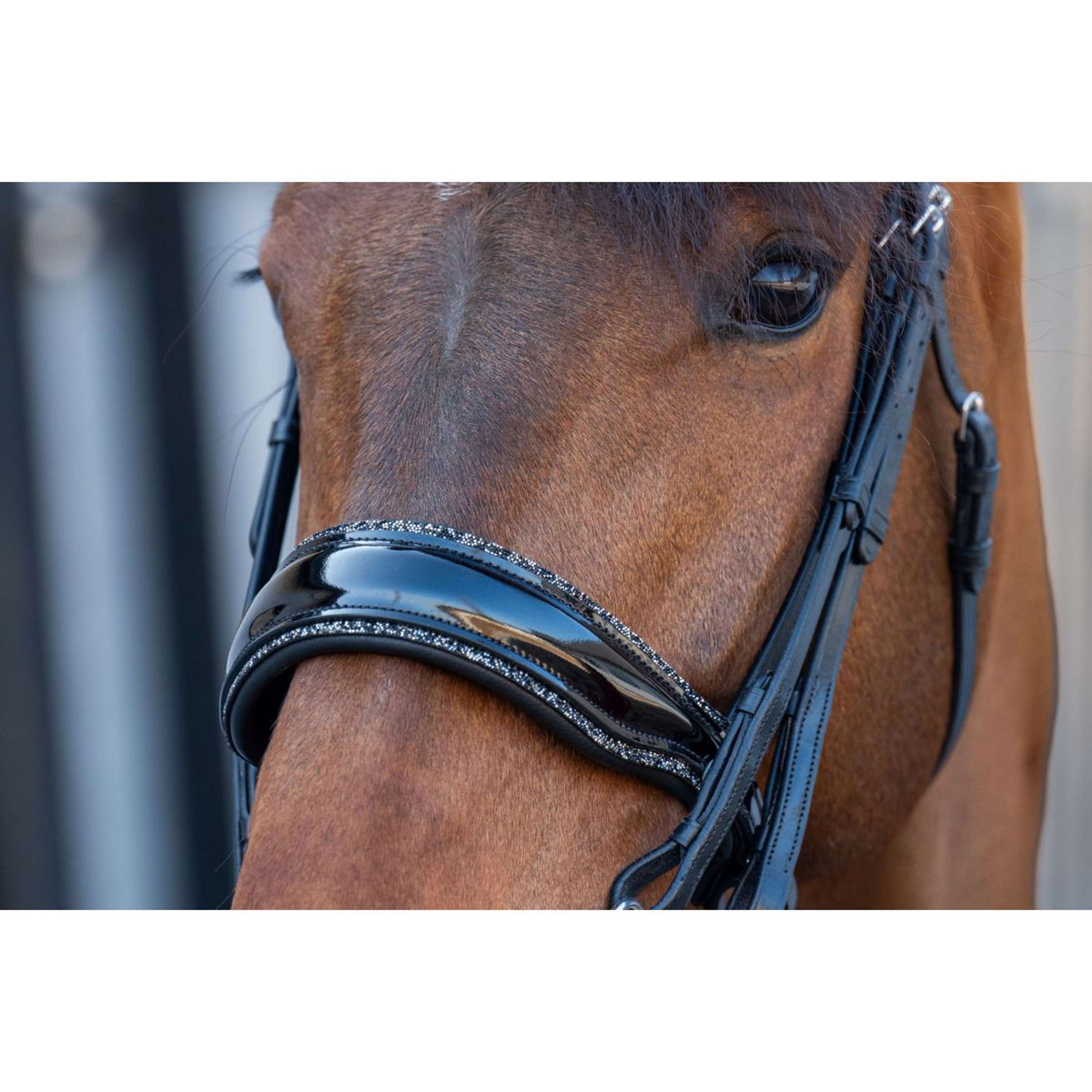 HB Bridle Showtime One in a Million Black/Black Glitter HB Bridle Showtime One in a Million Black/Black Glitter