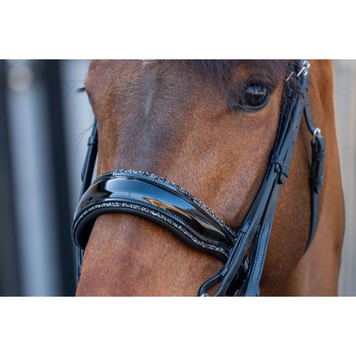 HB Bridle Showtime One in a Million Black/Black Glitter