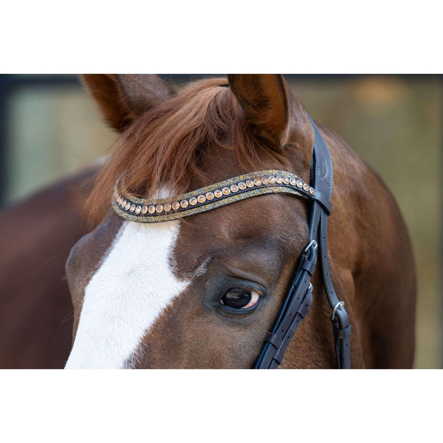HB Bridle Showtime It is So Special Brown/Golden Glitter