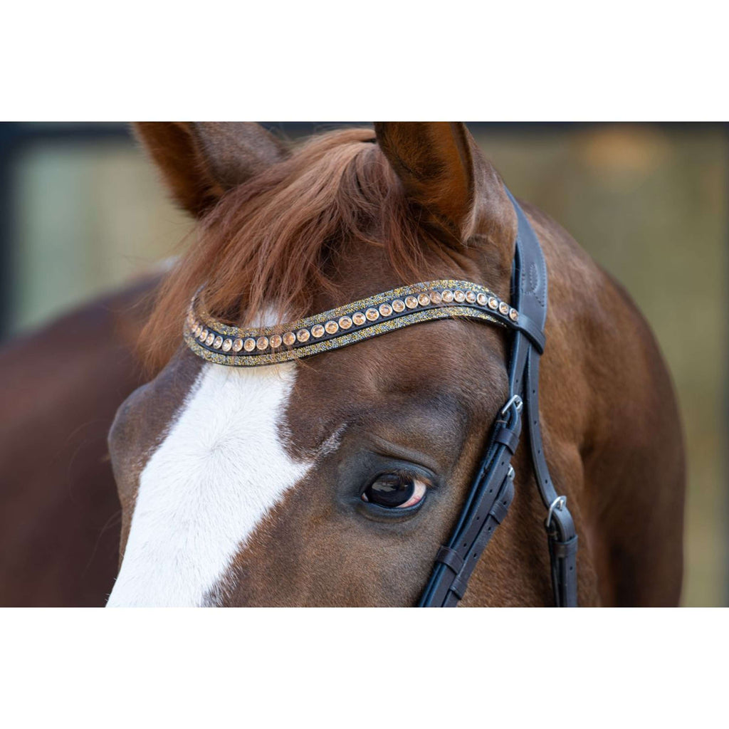 HB Bridle Showtime It is So Special Brown/Golden Glitter