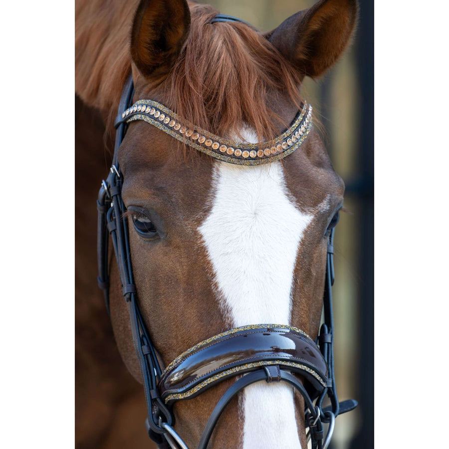 HB Bridle Showtime It is So Special Brown/Golden Glitter