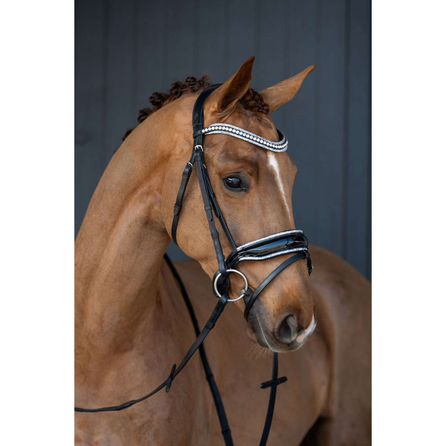 HB Bridle Showtime It is So Special Black/Silver Glitter