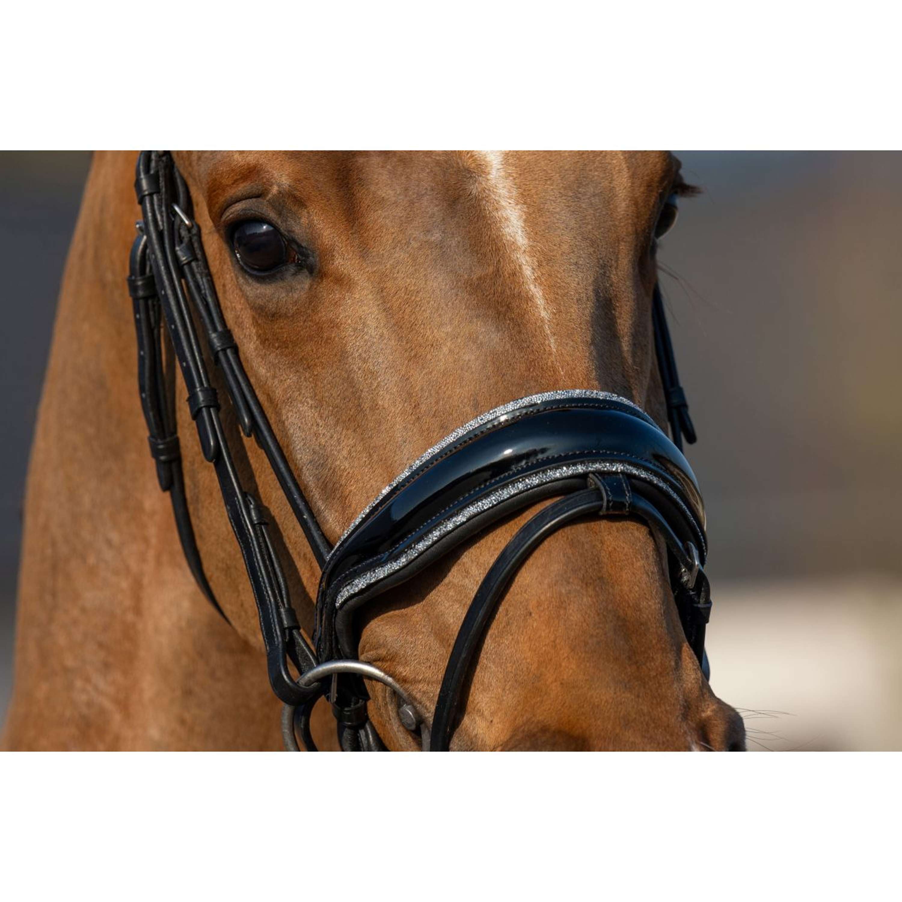 HB Bridle Showtime It is So Special Black/Silver Glitter