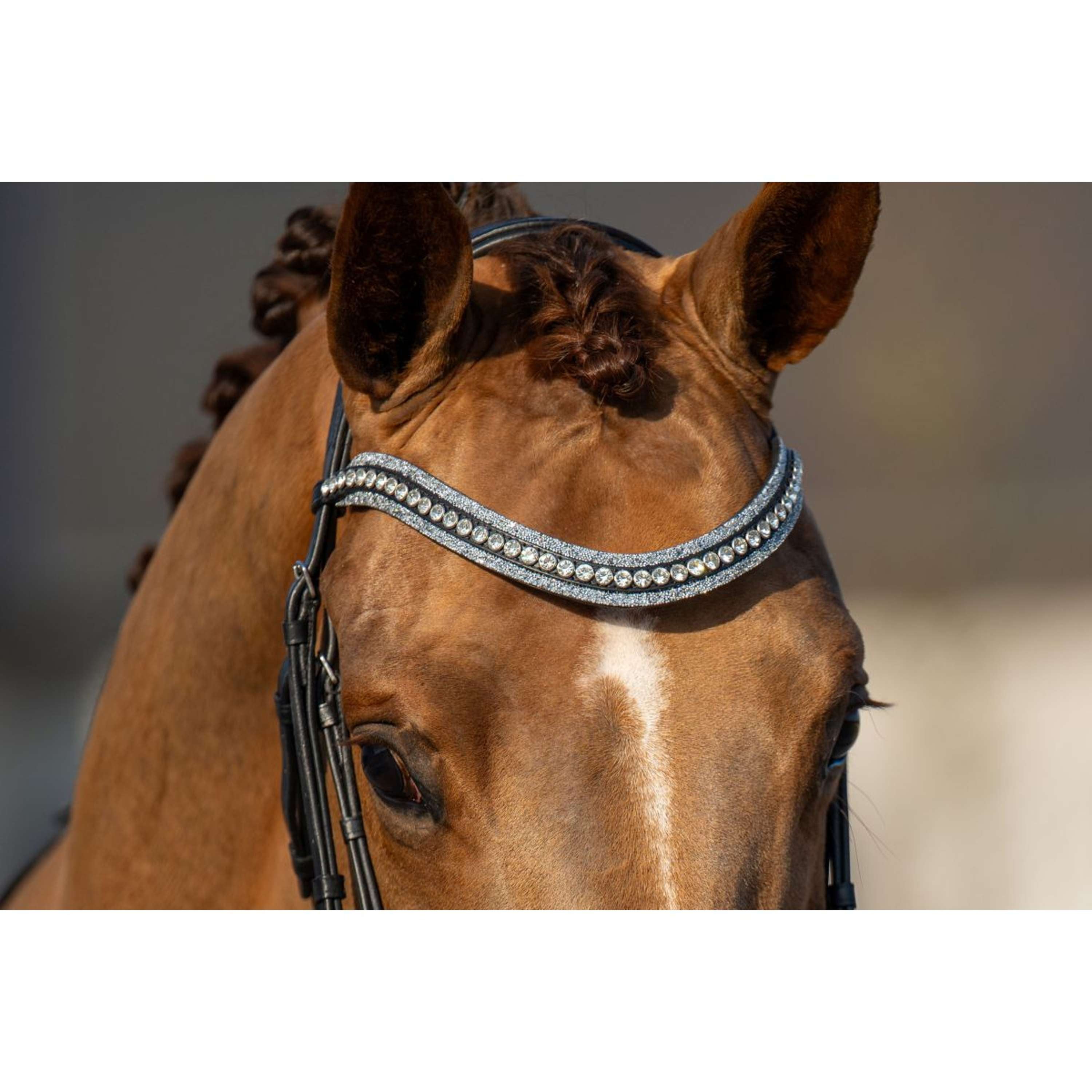 HB Bridle Showtime It is So Special Black/Silver Glitter