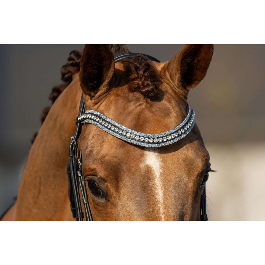 HB Bridle Showtime It is So Special Black/Silver Glitter