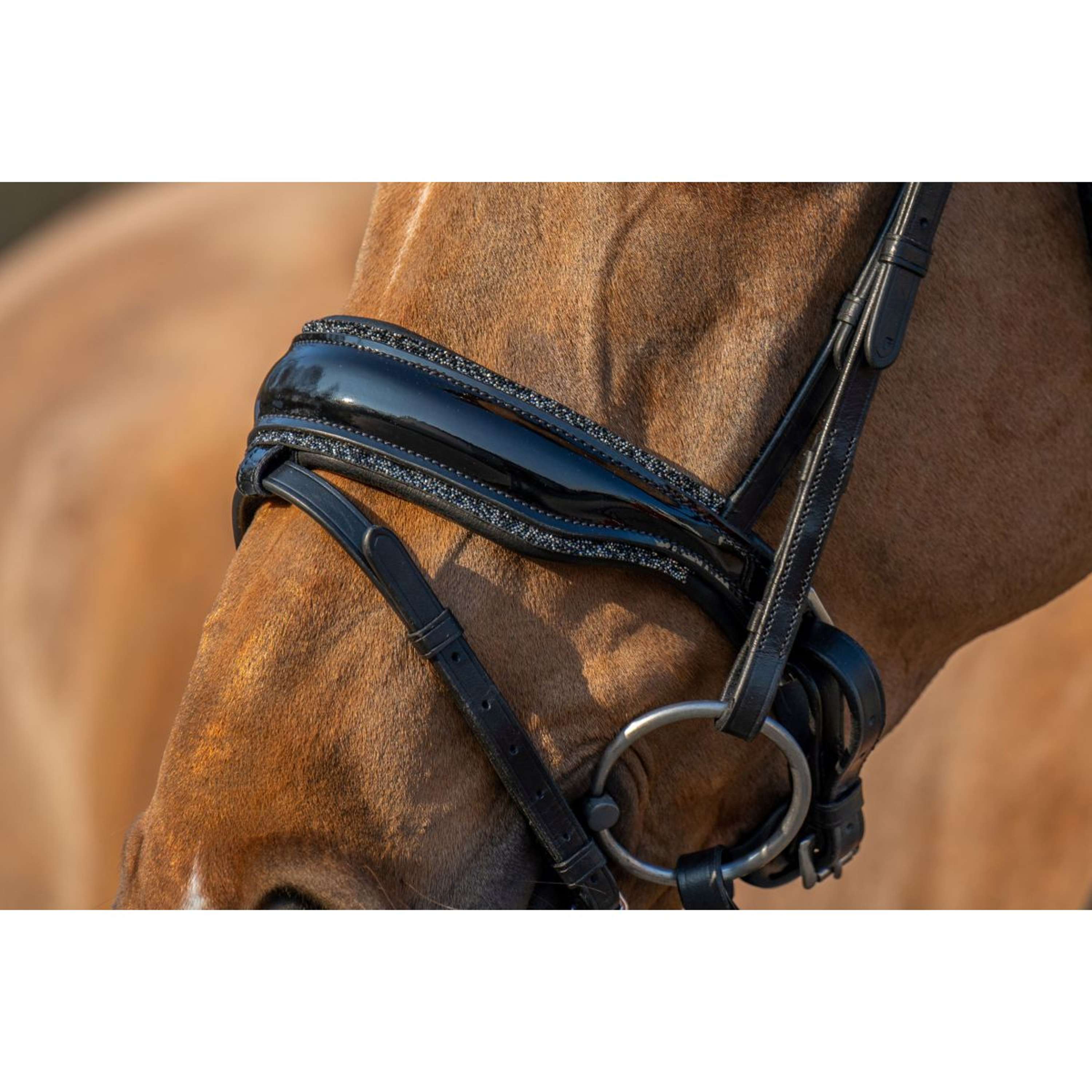 HB Bridle Showtime It is So Special Black/Black Glitter
