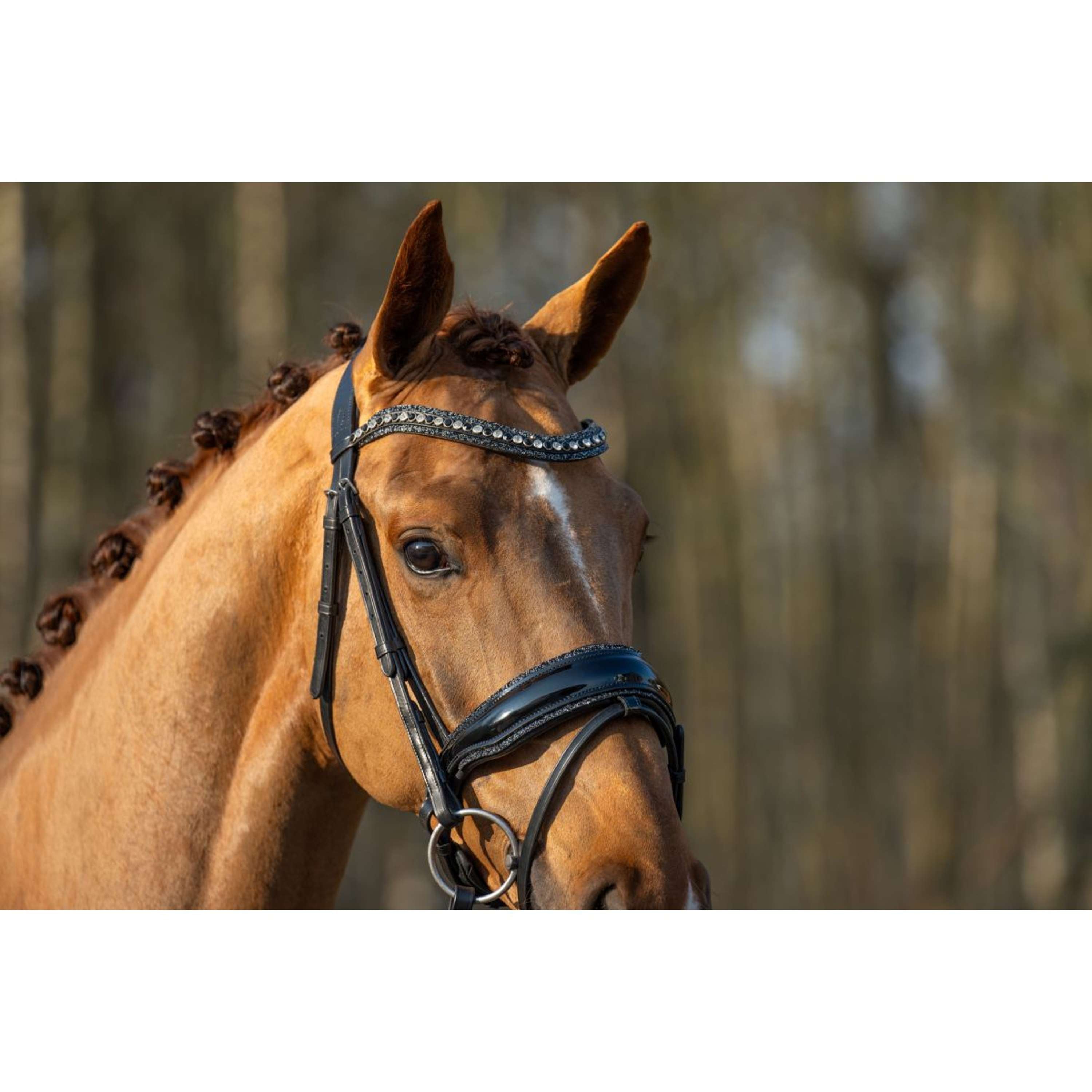 HB Bridle Showtime It is So Special Black/Black Glitter