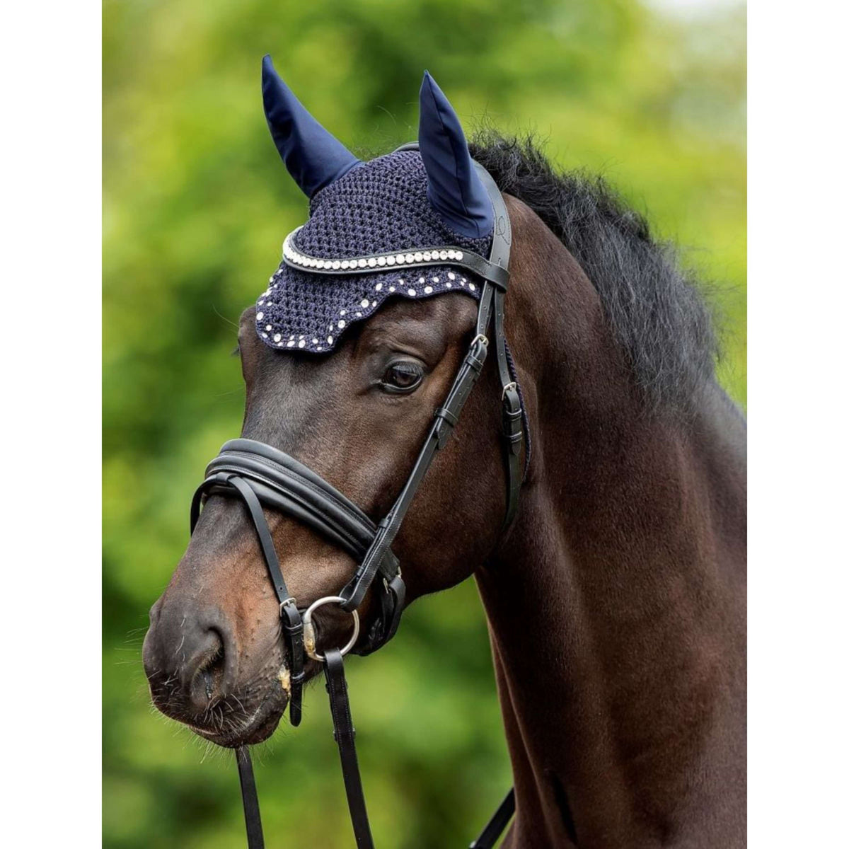 HB Showtime Bridle Very Soft Black