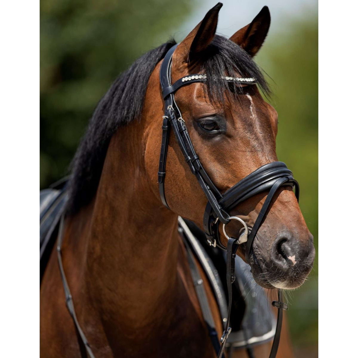 HB Showtime Bridle Very Soft Black