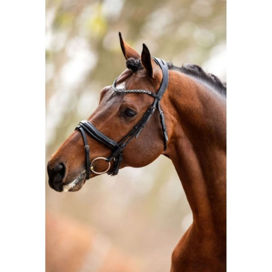 HB Showtime Bridle Different Change Black