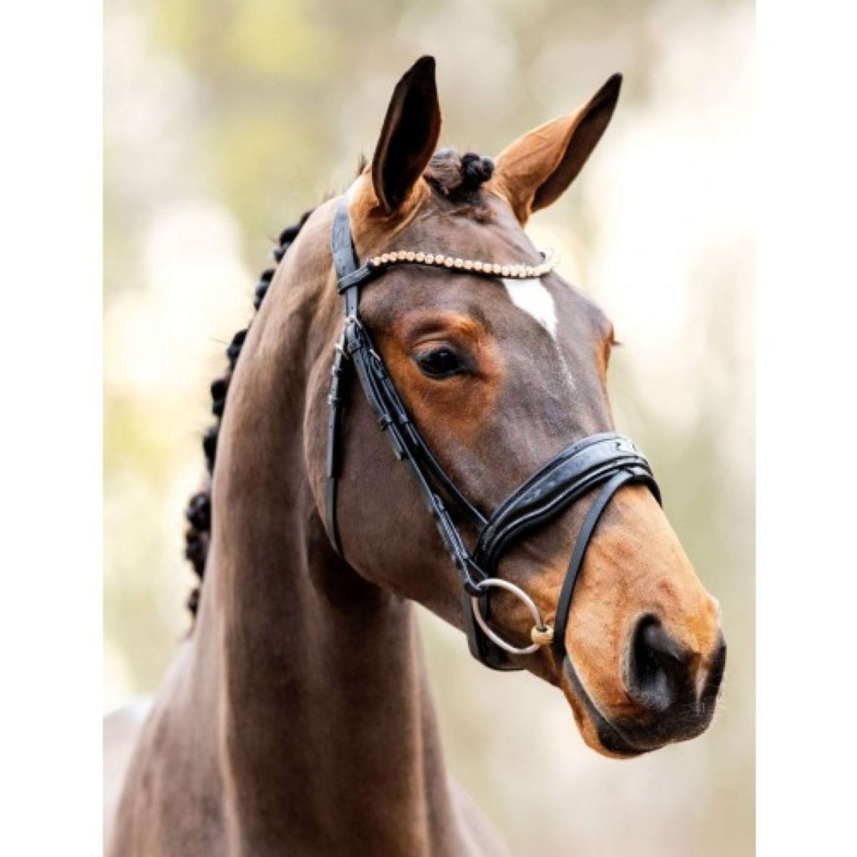 HB Showtime Bridle Rose Gold Black