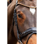 HB Showtime Bridle Rose Gold Black