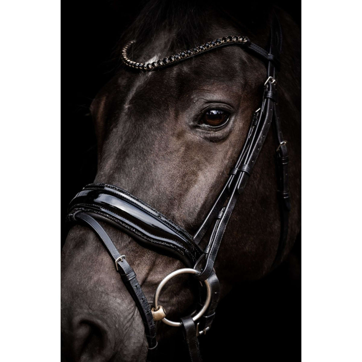 HB Bridle Showtime Evalira Black