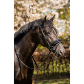 HB Bridle Showtime Evalira Black/Grey