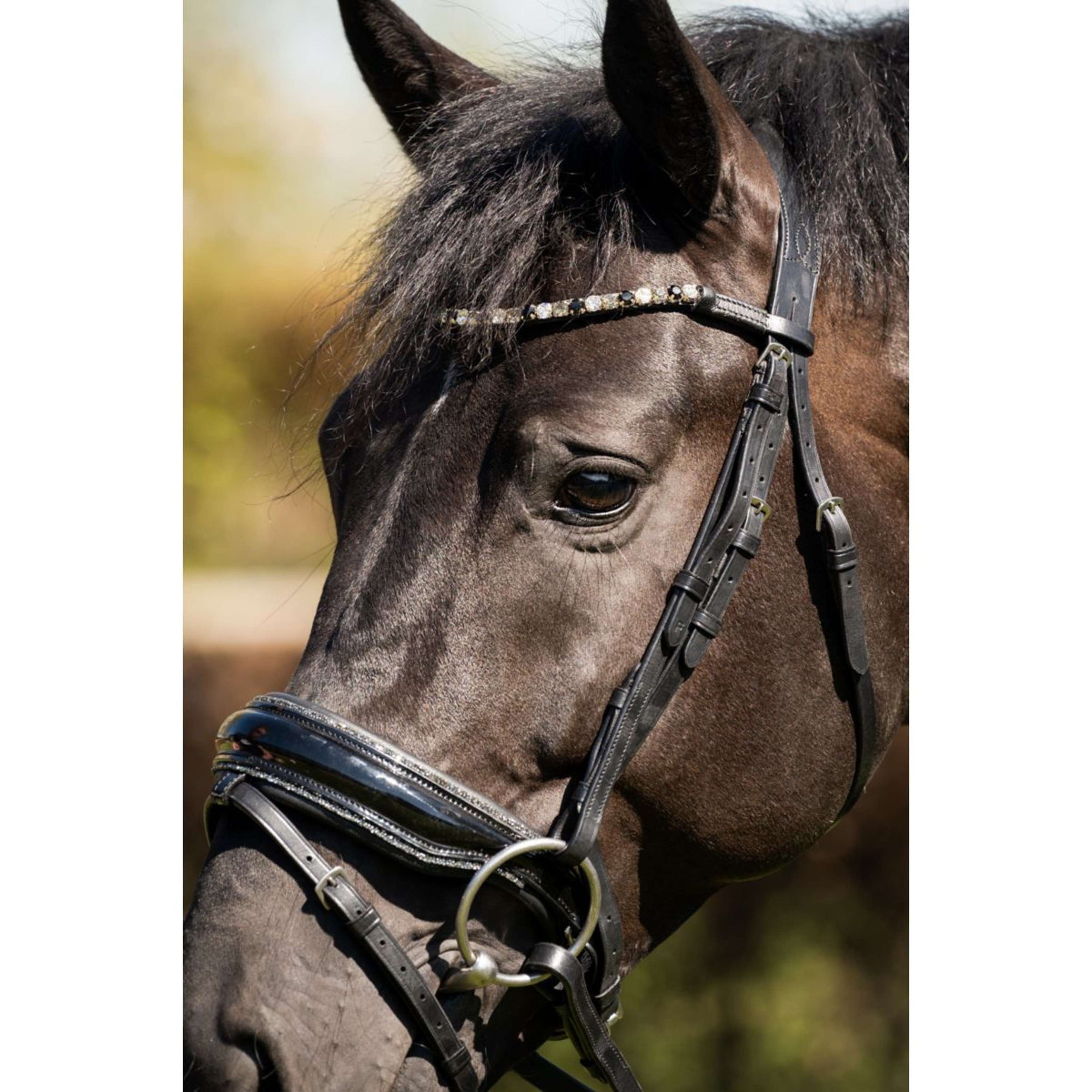 HB Bridle Showtime Evalira Black/Grey