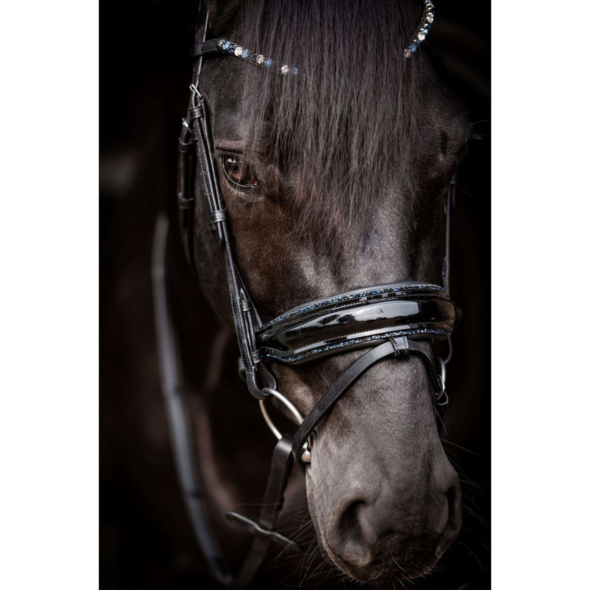 HB Bridle Showtime Evalira Blue/Black