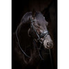 HB Bridle Showtime Evalira Blue/Black