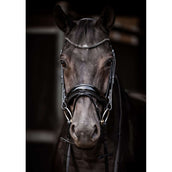 HB Bridle Showtime Evalira Black